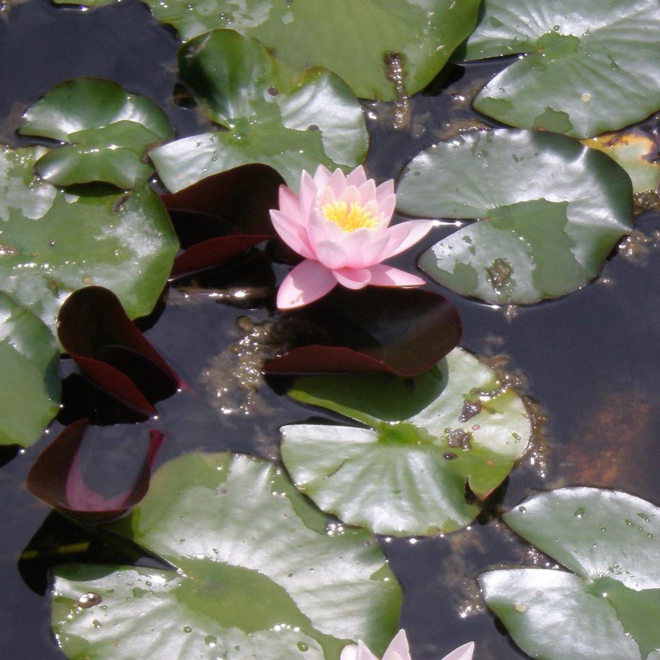 Einige konkrete Projekte der Brenner-Managementberatung